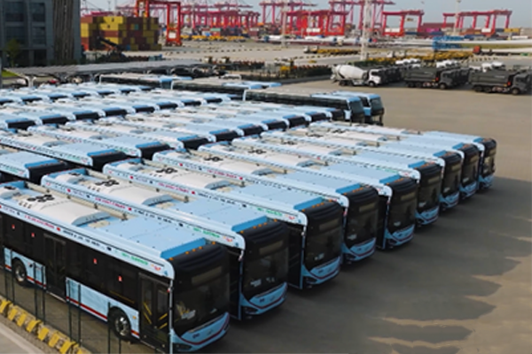 Higer Electric Buses